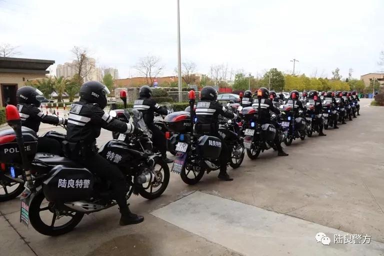 云南曲靖:陆良公安骑警“新名片”正式亮相