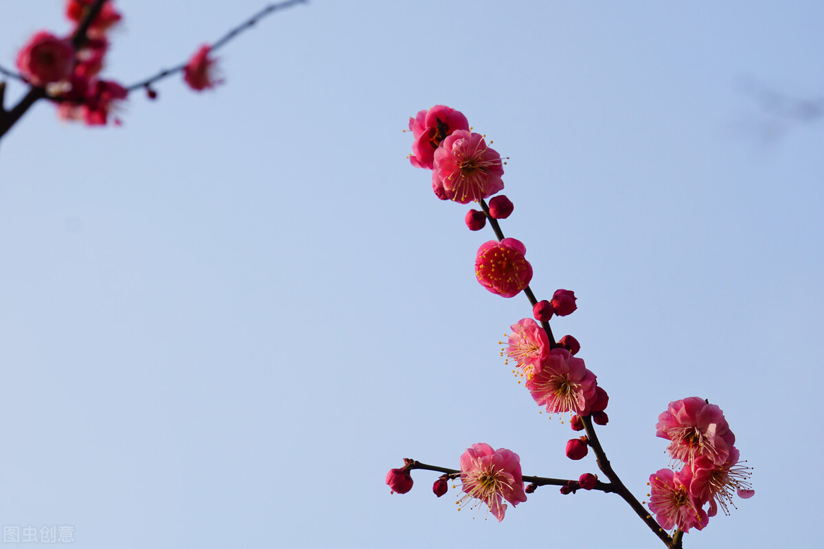 春暖花开，愿你有个好心情