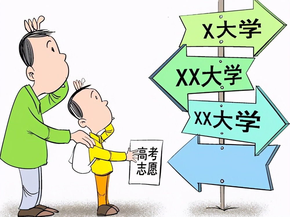 3000字详解：高考志愿中的点、线、面、体