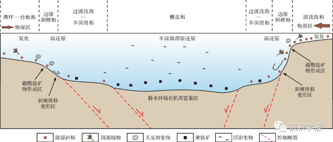 卢树藩等：贵州石炭系黑色页岩层系沉积特征及分布规律研究