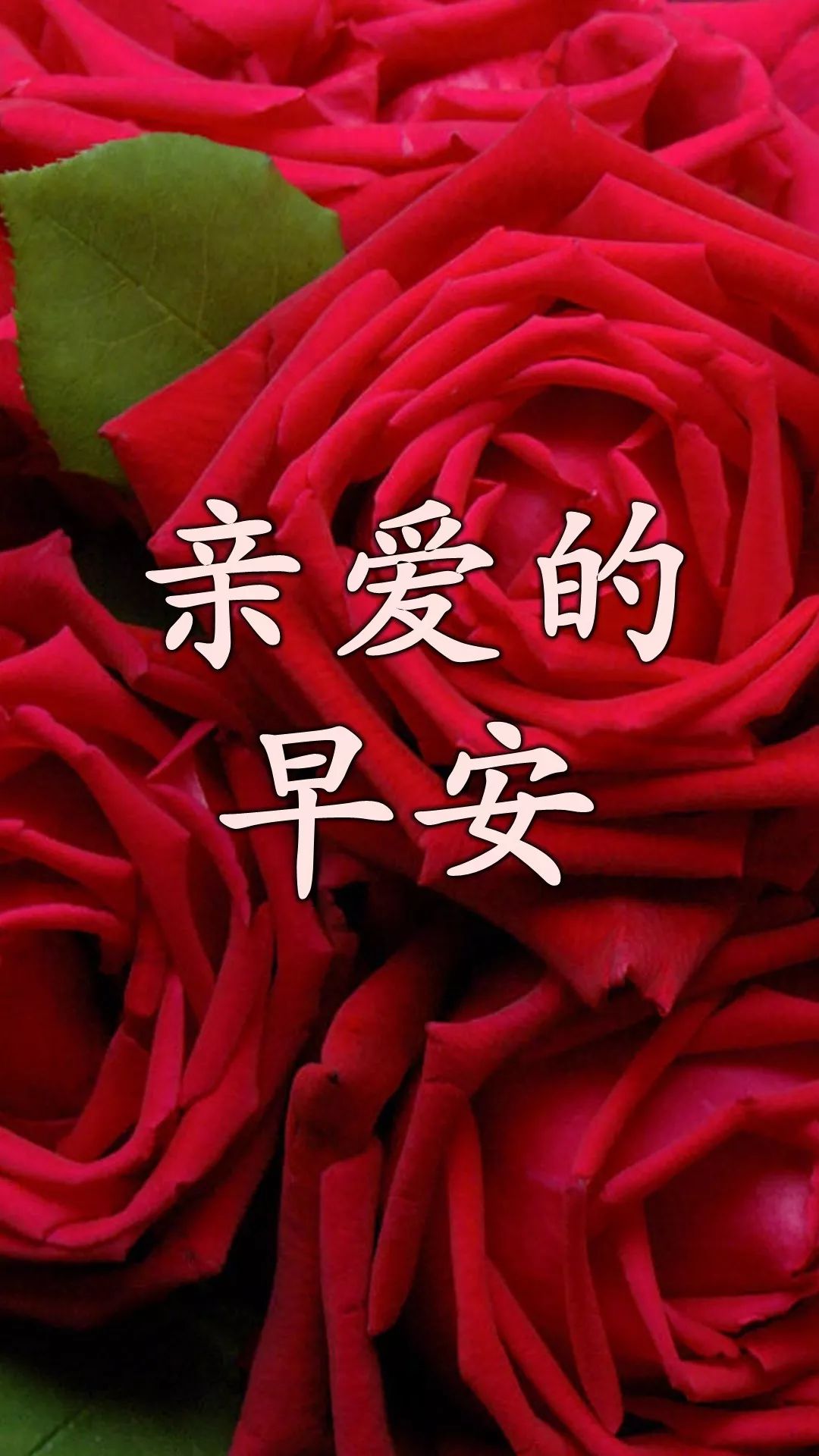 最新早上好微信暖心问候语录句子 周三早安 愿你好运常在、福气满满图片