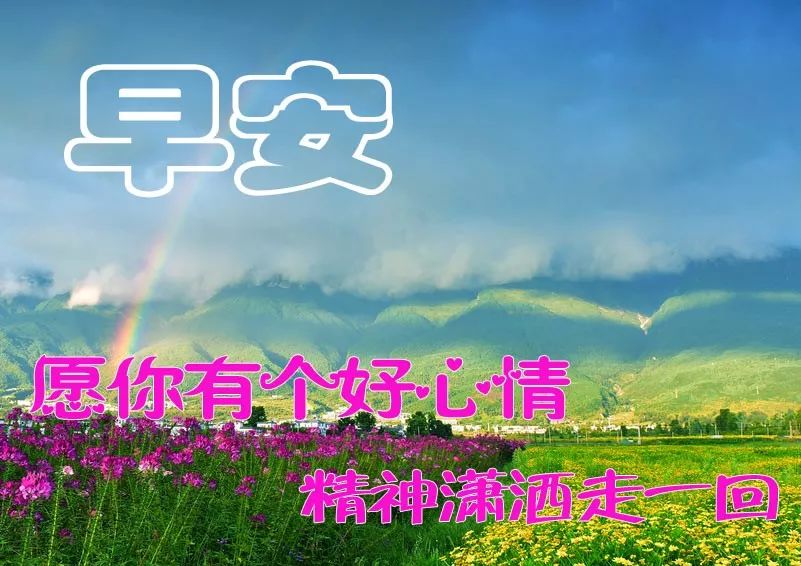 早上好问候语图片大全 以心交心才配真心 以情交情才配真情图片