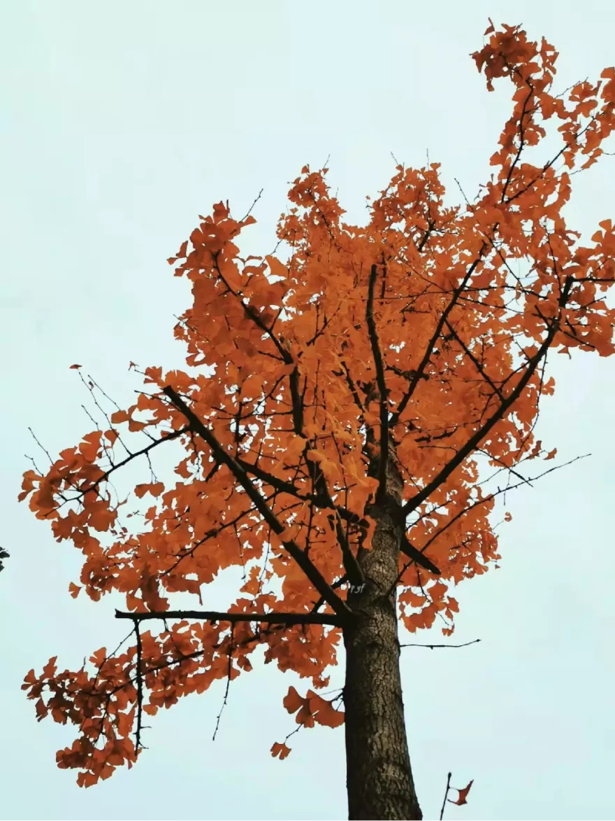 优微推荐丨入股不亏！快来一起探索生活中的小美好吧