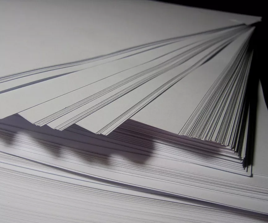 纸浆强势四连阳,行情“渐入佳境”?