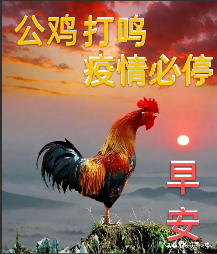 2022清晨送给远方朋友的祝福语，家人们早上好最新版图片带字语句