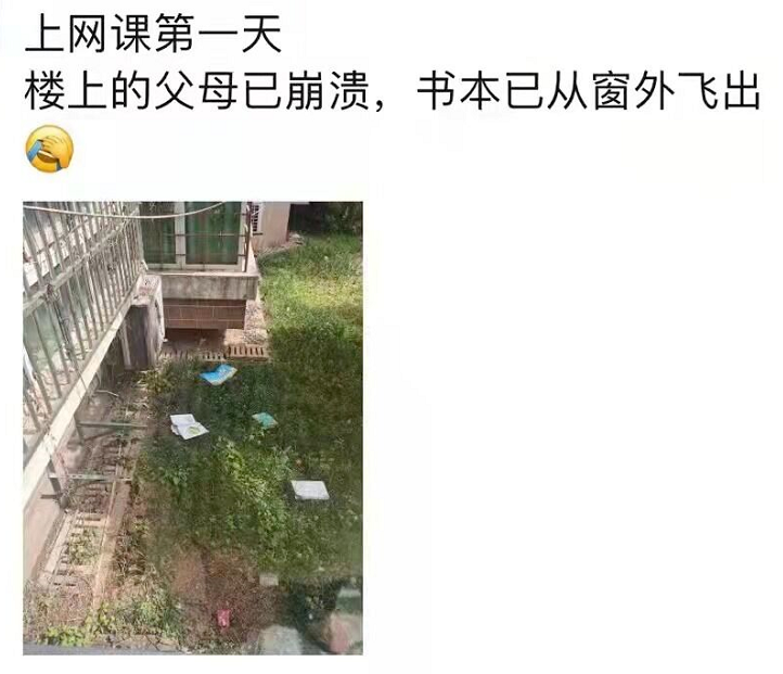 家长担忧网课效果？多校发布居家线上学习建议