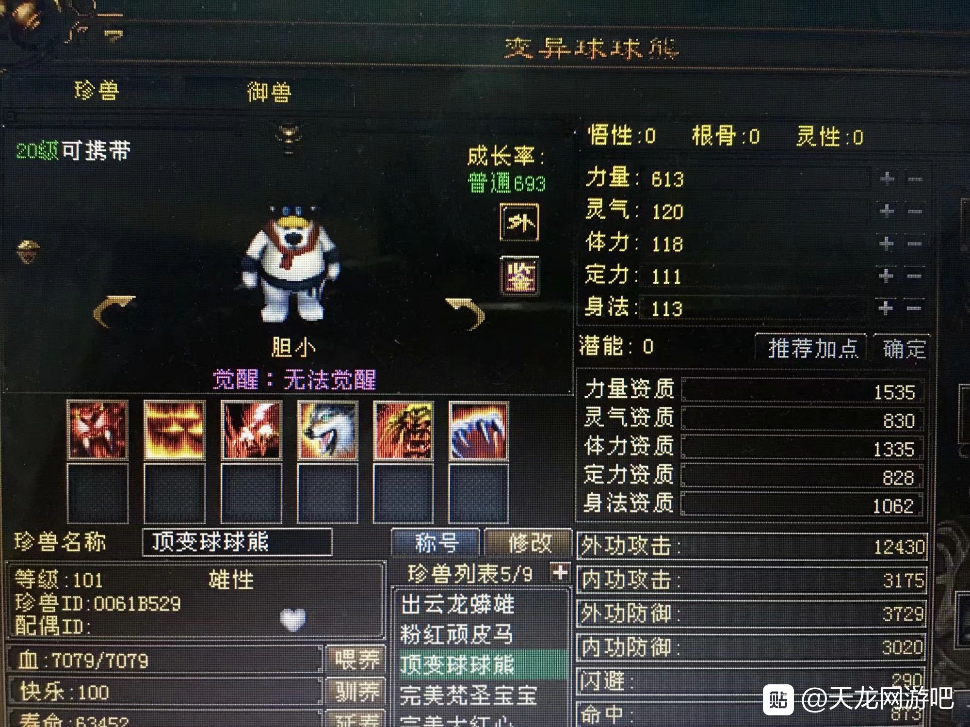 天龙：顶级宝宝收藏家，收藏了156只顶变稀有宝宝，7级号都不换