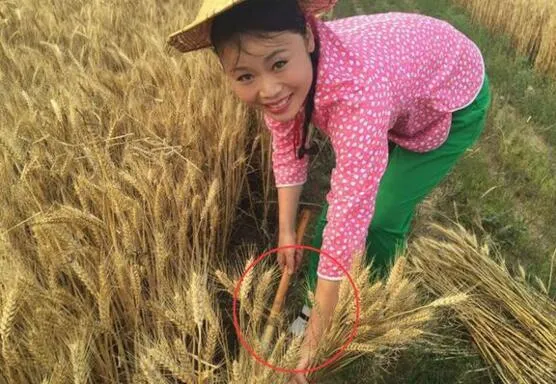 巜保持好习惯，天天都健康