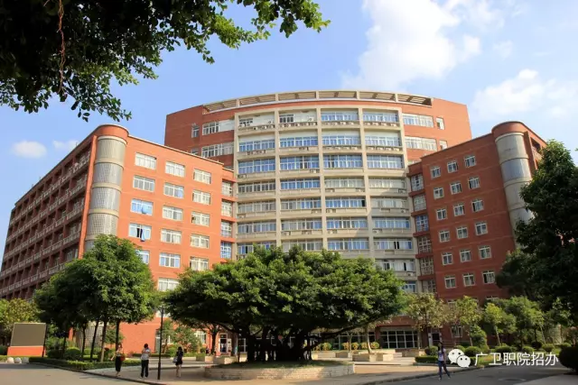 “医学热”又来了？学考想考医学专业，重点关注广东这12所院校