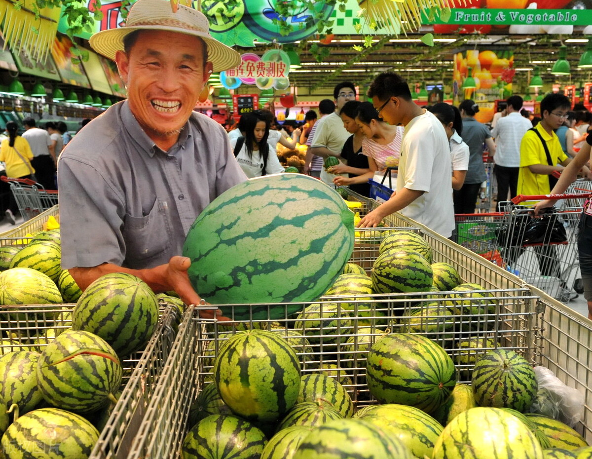 2017西瓜价格预测买西瓜