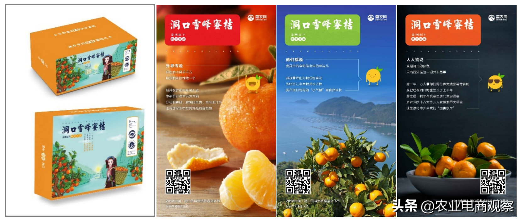 如何从0至1打造县域农产品区域公用品牌——记湖南洞口县案例