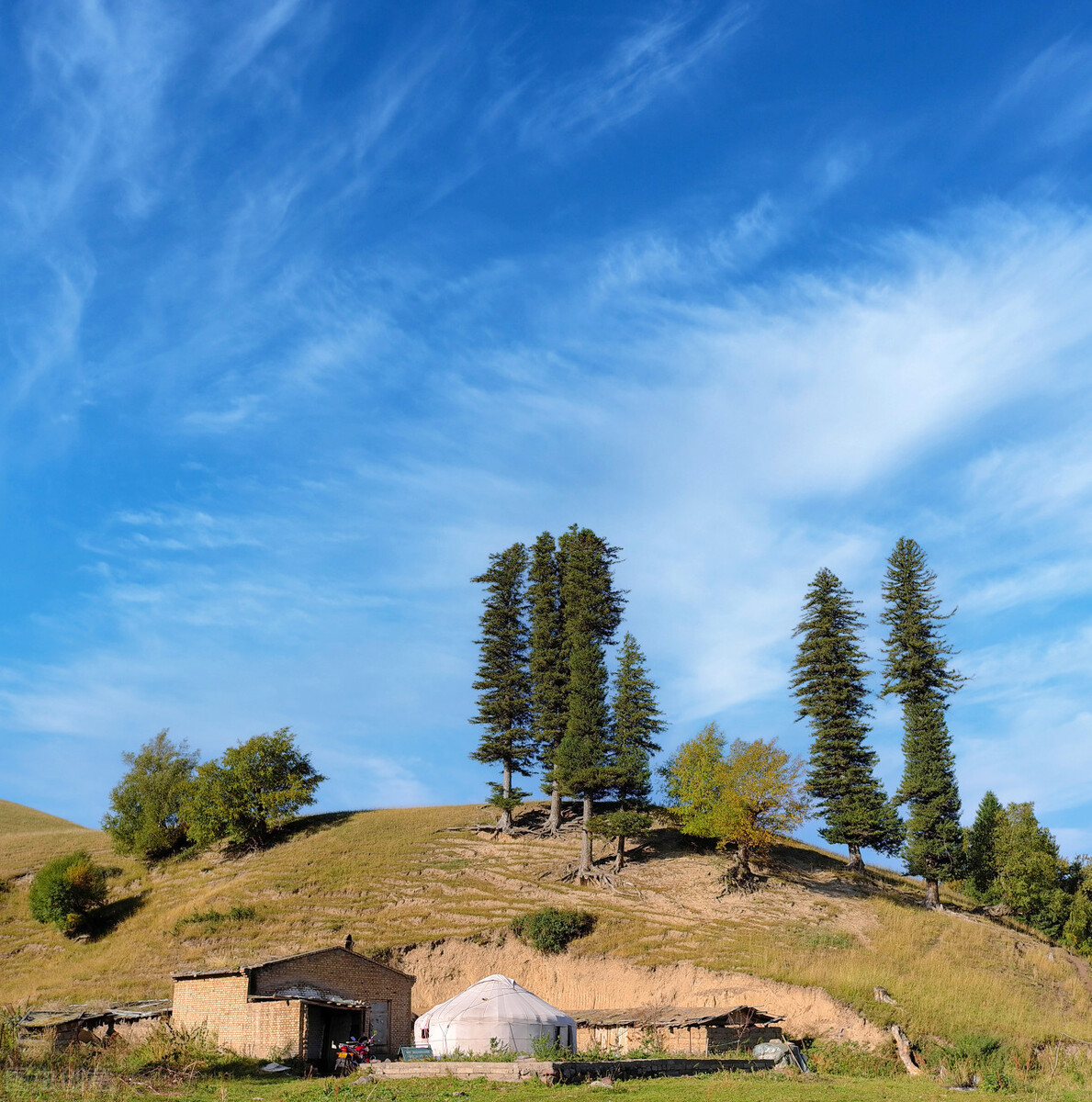 一日一诗《凉州词》赏析