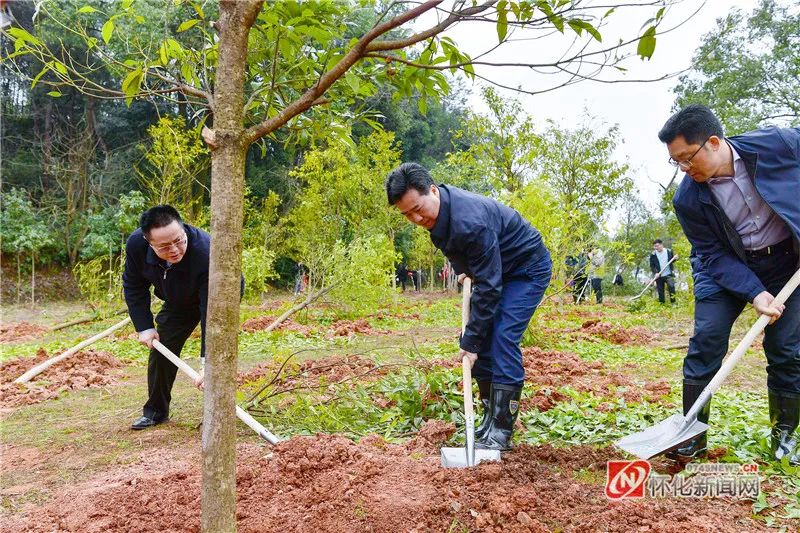 创国家森林城市 建怀化绿色家园 黎春秋王建球李万千印宇鹰等参加义务植树活动