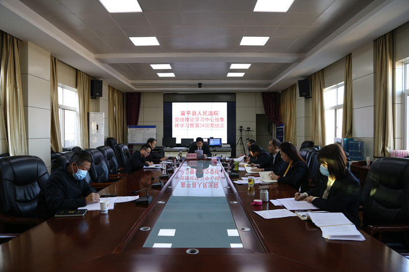 贯彻六中全会精神 冲刺“双进”专项工作——富平法院召开党组理论学习中心组集体学习暨第24次党组（扩大）会