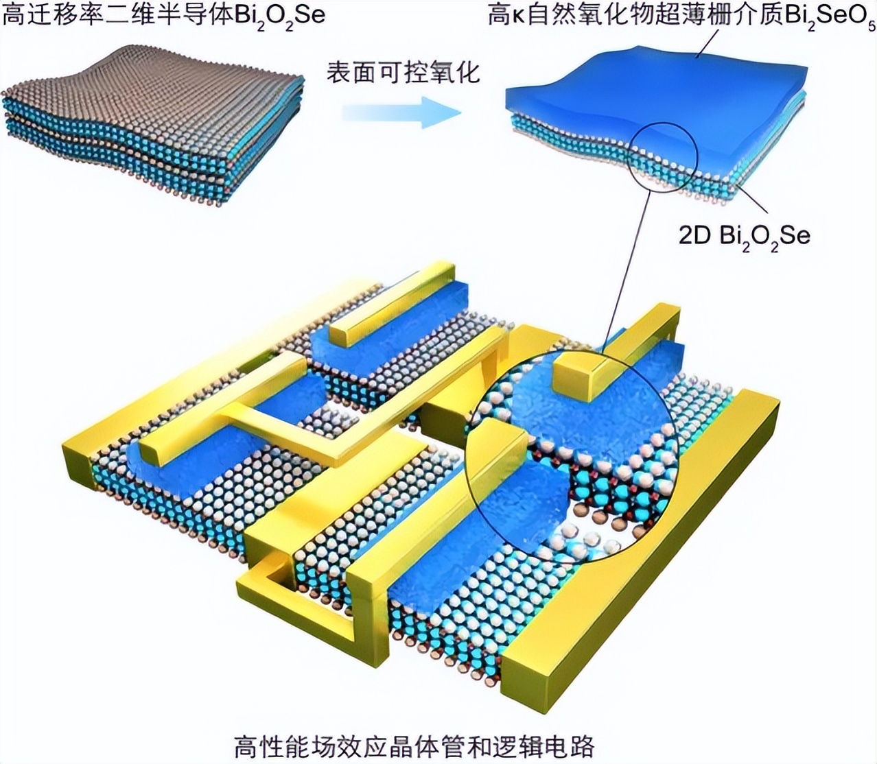 北大新材料研究助力二维高迁移率半导体器件与超薄介电层集成