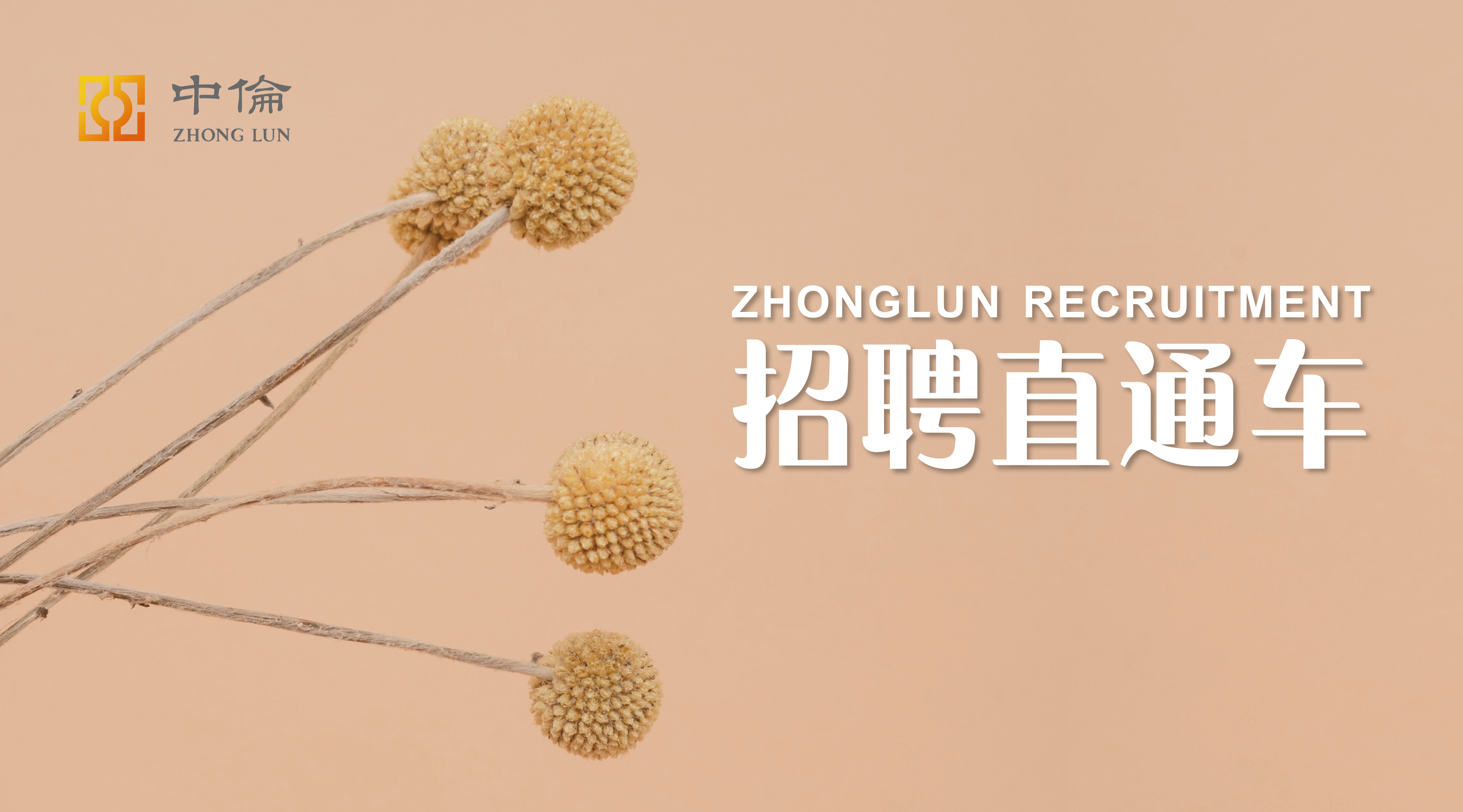 专利律师招聘（招聘直通车）