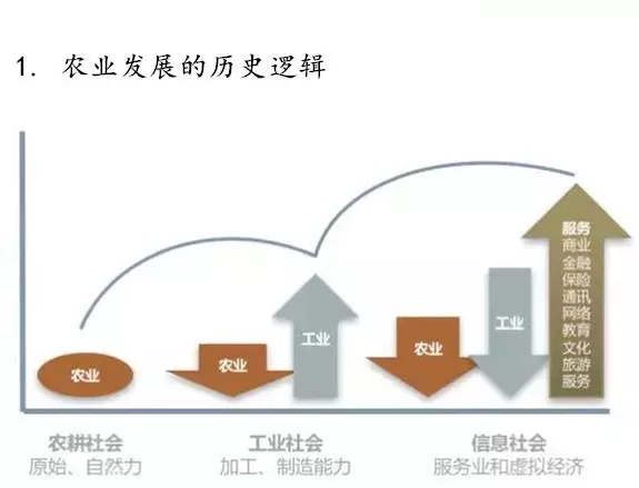 深度：支撑新时代现代农业发展的六大底层逻辑