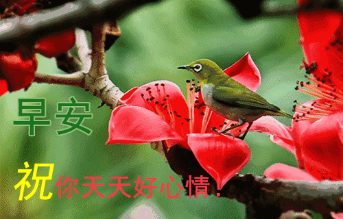 最新温馨早上好祝福图片漂亮带字带表情 天天开心迎接美好的今天图片
