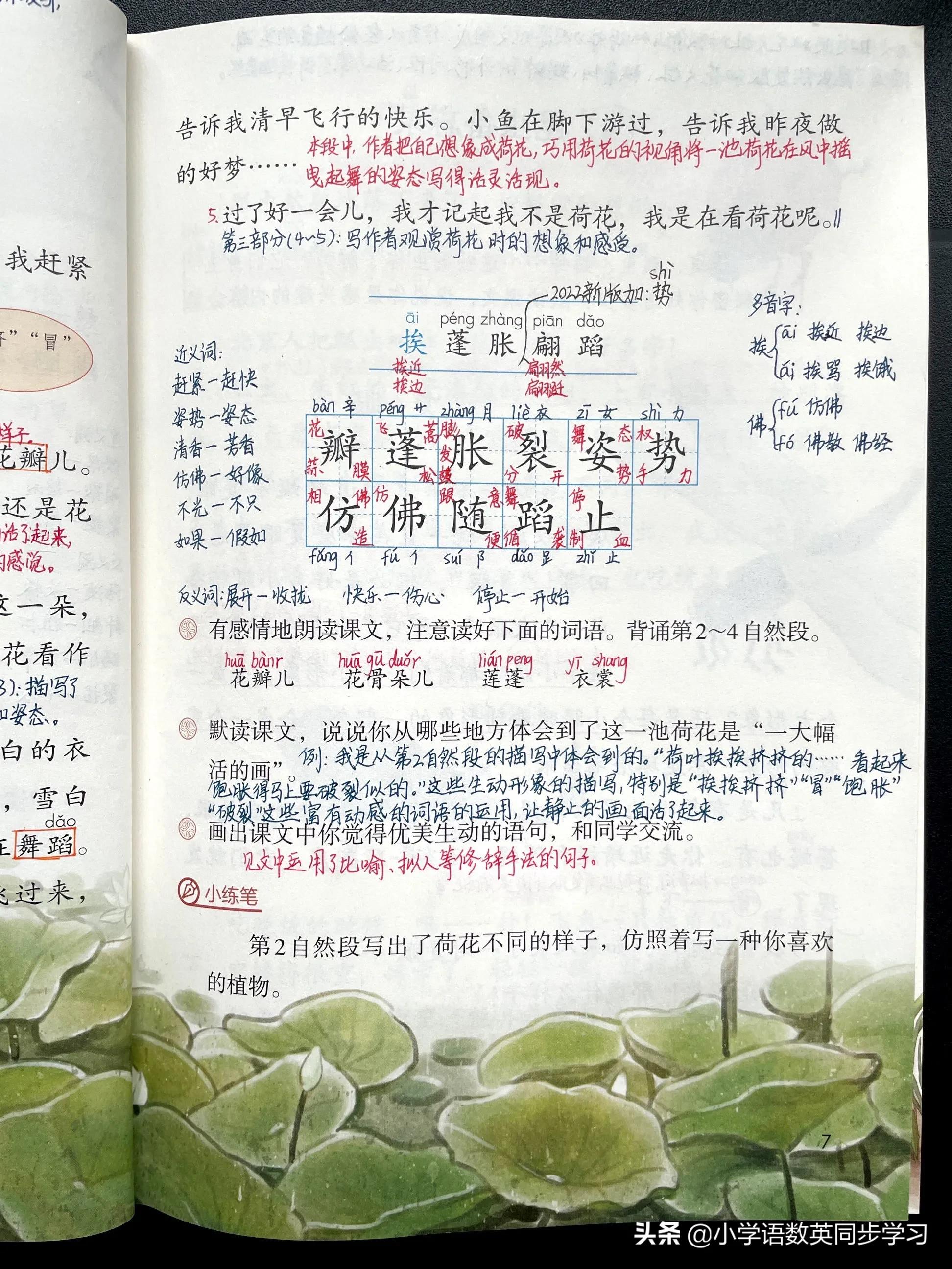 小学语文三年级下册第3课《荷花》教师笔记