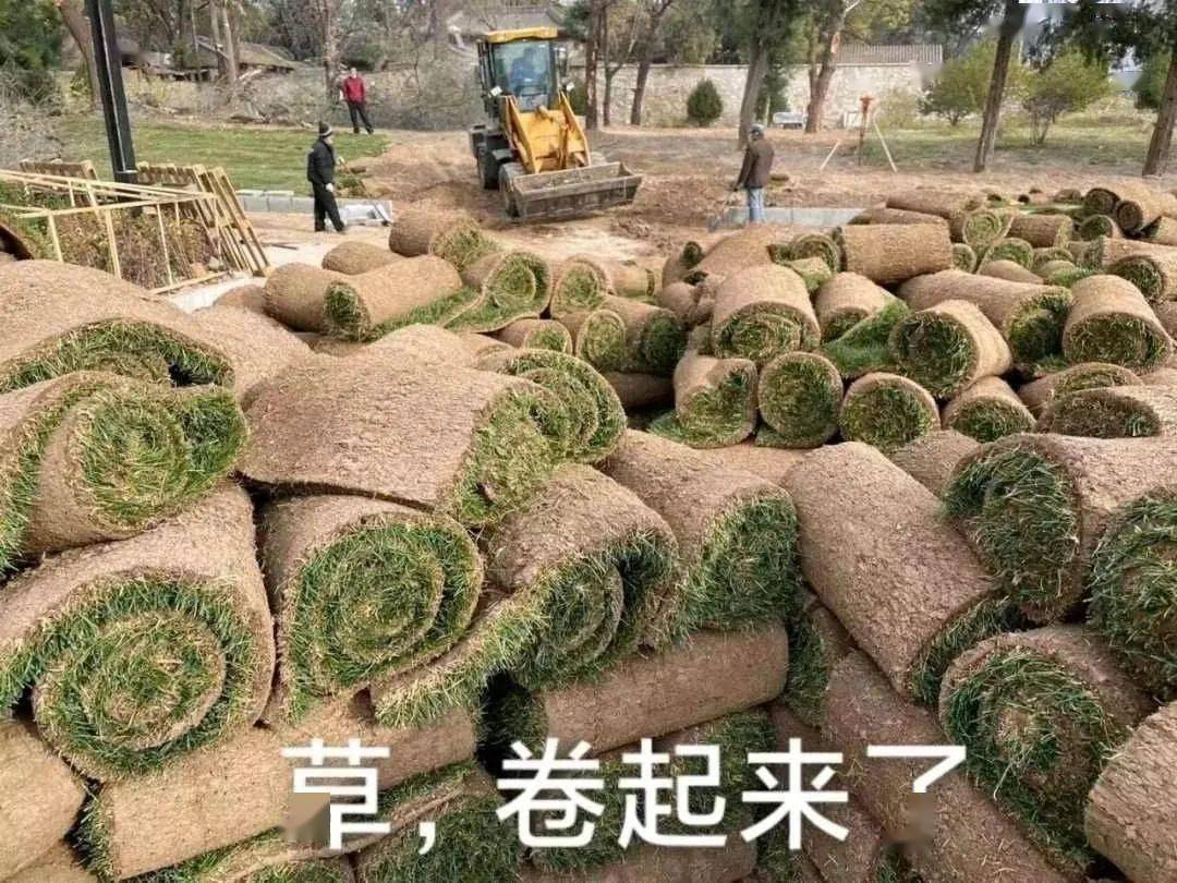 【对比】别瞎买日系燃气热水器，不值！8大主流技术盘点！