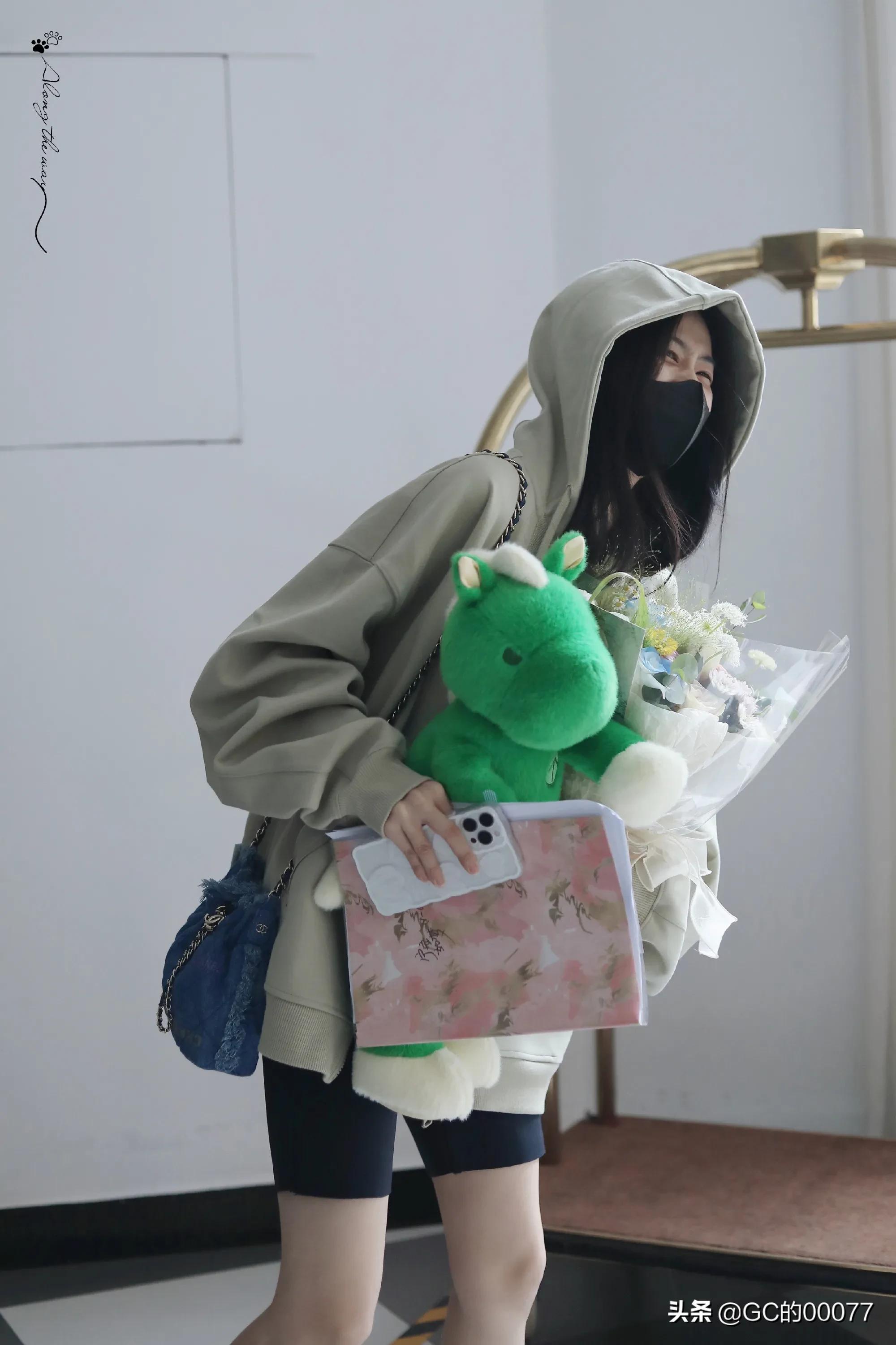 明星图片白鹿
