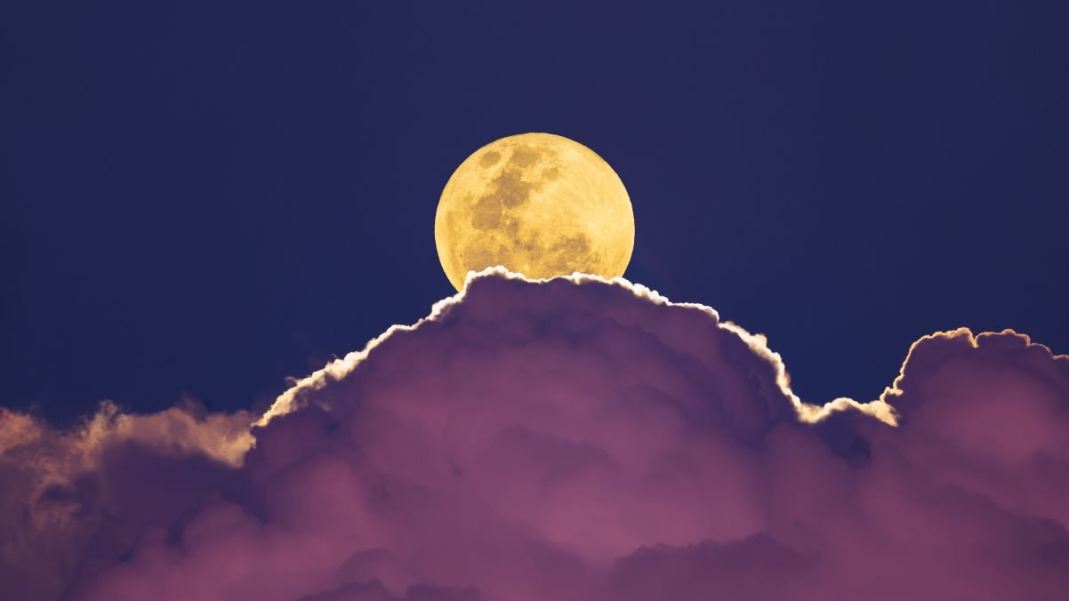 最准确的月亮星座查询（月亮星座种类查询大全）