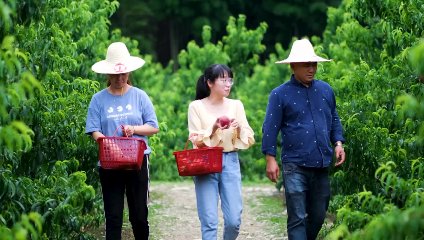 公务员晒“辞职信”，引起很多同行的共鸣，辞职理由引人深思