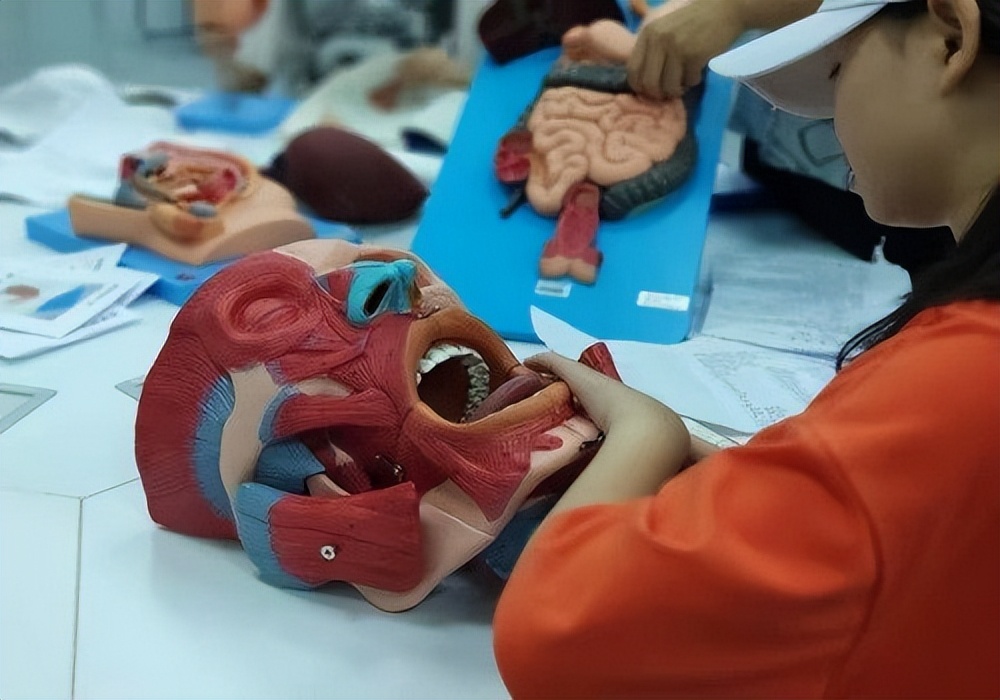 智能医学工程专业｜携手智能医学，“医”起拥抱未来