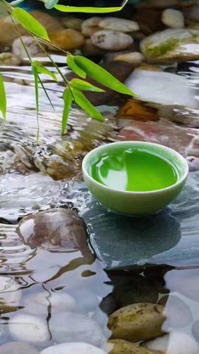 师徒情深！中考作文参考范文《你的馈赠点燃了我》