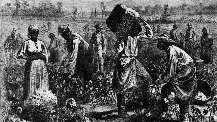 棉布如何导致亡国？害惨黑人的为何是印度？