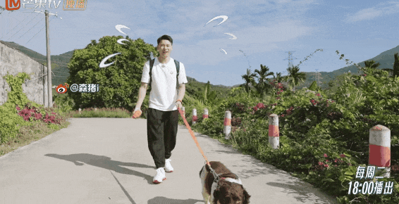 10分钟看哭7次！当他们不再“有用”的时候，却也无法正常生活