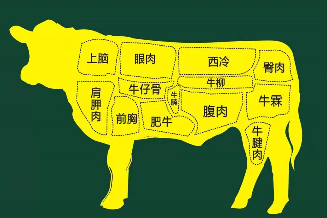 又该如何烹饪,简单为大家介绍一下家庭常用牛肉部位的划分及适合的
