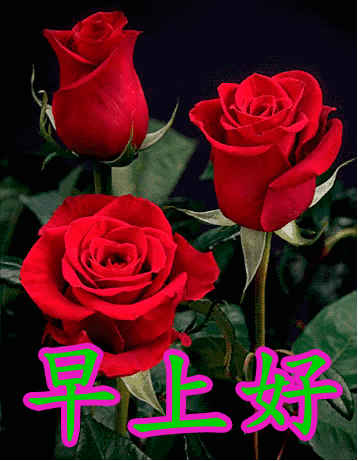 微信早上好问候祝福语 早安正能量带字祝福 心中最美的祝福送给朋友图片