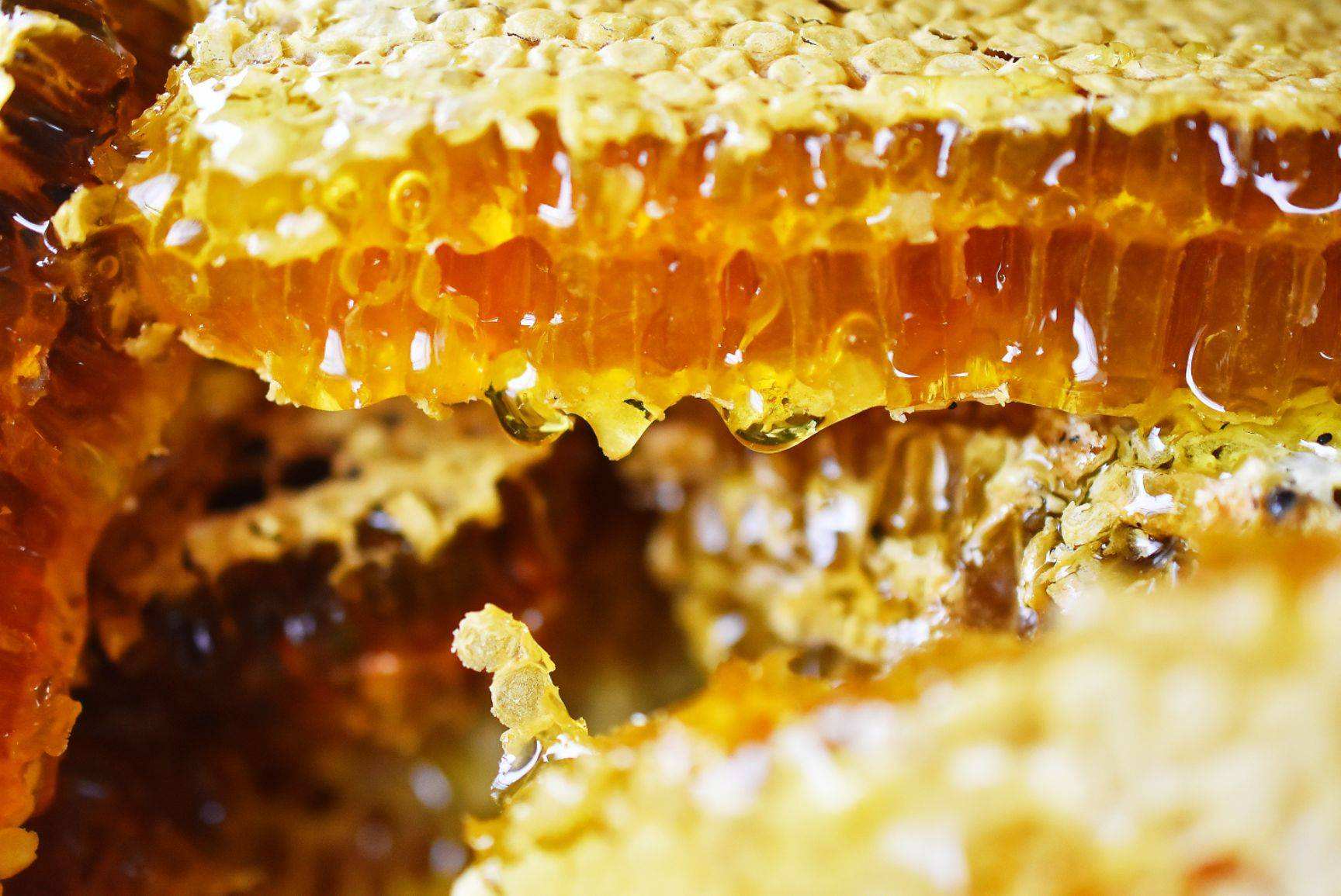 海鮮和蜂蜜一起吃會中毒嗎？ 有了它就不怕