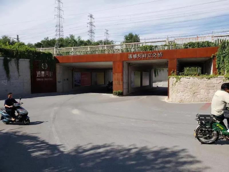 三百年菩提树见证美丽乡村平安传奇