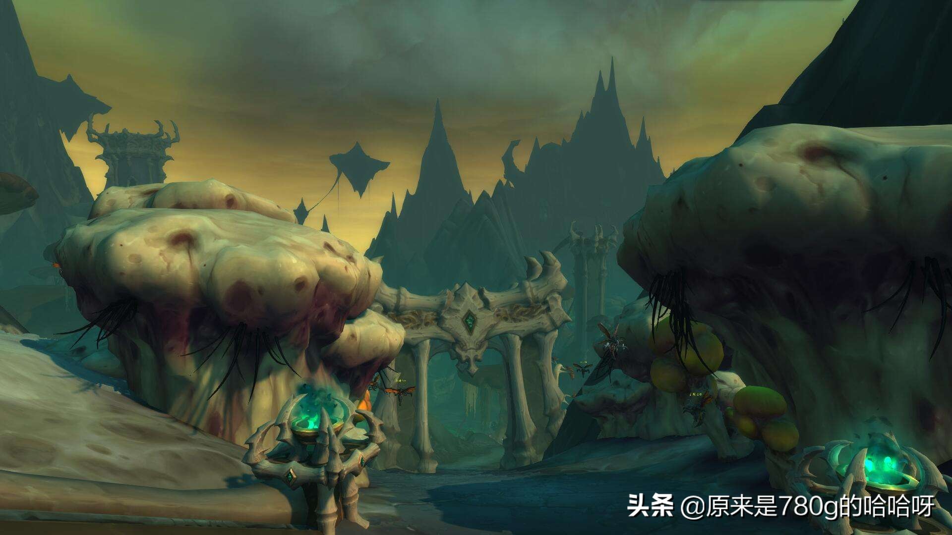 哪里可以买魔兽世界账号(魔兽世界账号哪里买)