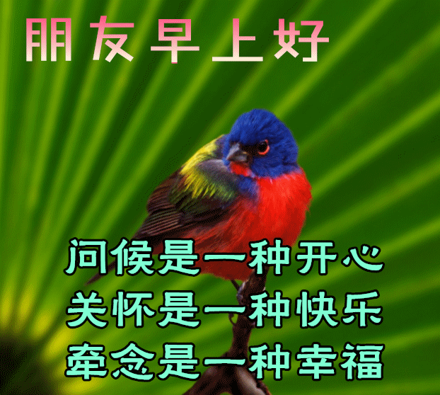 最新早上好动态表情图，早安祝福问候语大全图片