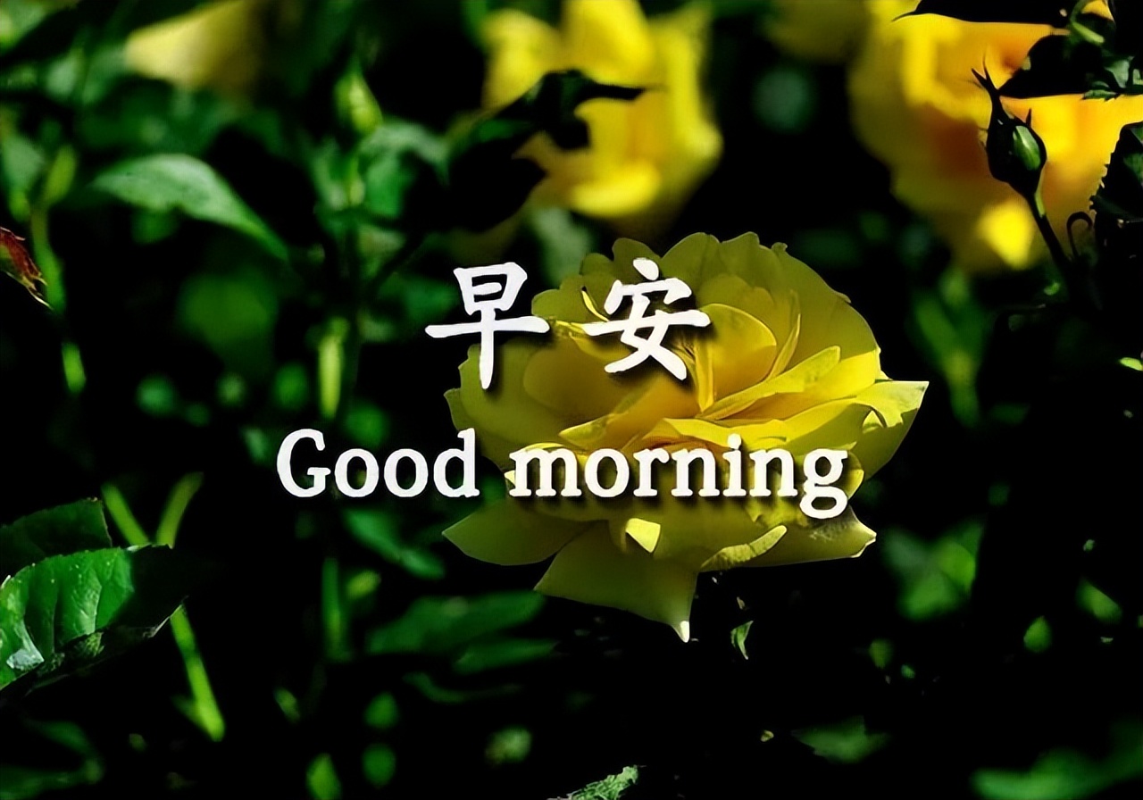 周六更新早上好问候语动态表情包 愿你今天好心情，生活工作都舒心图片