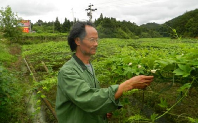 何家庆：“乞丐”般的教授，被绑架吃猪食，却让数万人过上好日子