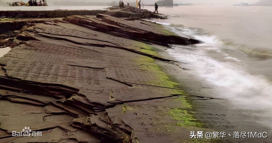 涪陵区（重庆市下辖区）