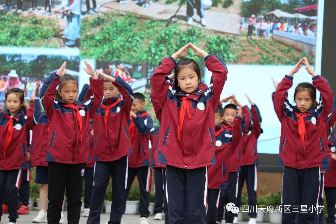 四川天府新区三星小学进行《劳动最光荣》国旗下主题活动