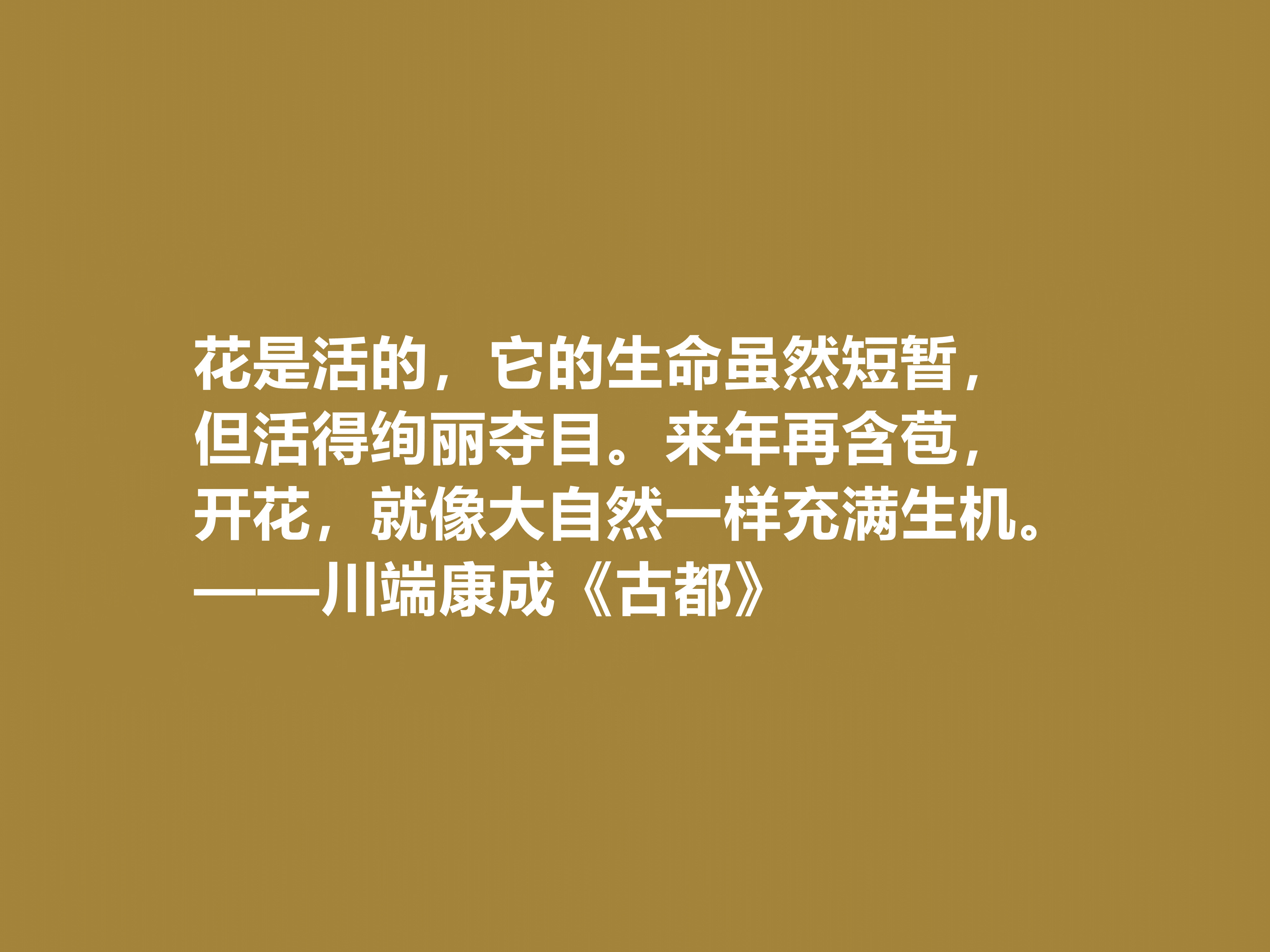 日本大作家川端康成，名作《古都》十句格言，充满深厚的思想内涵