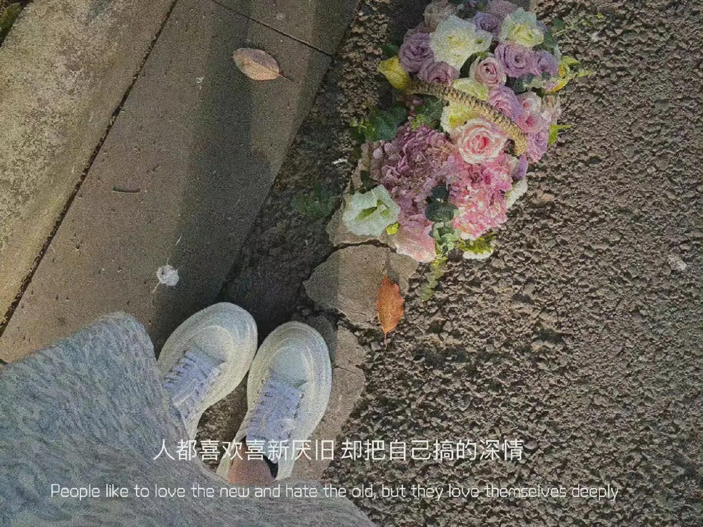 干净小众有品味的背景图
