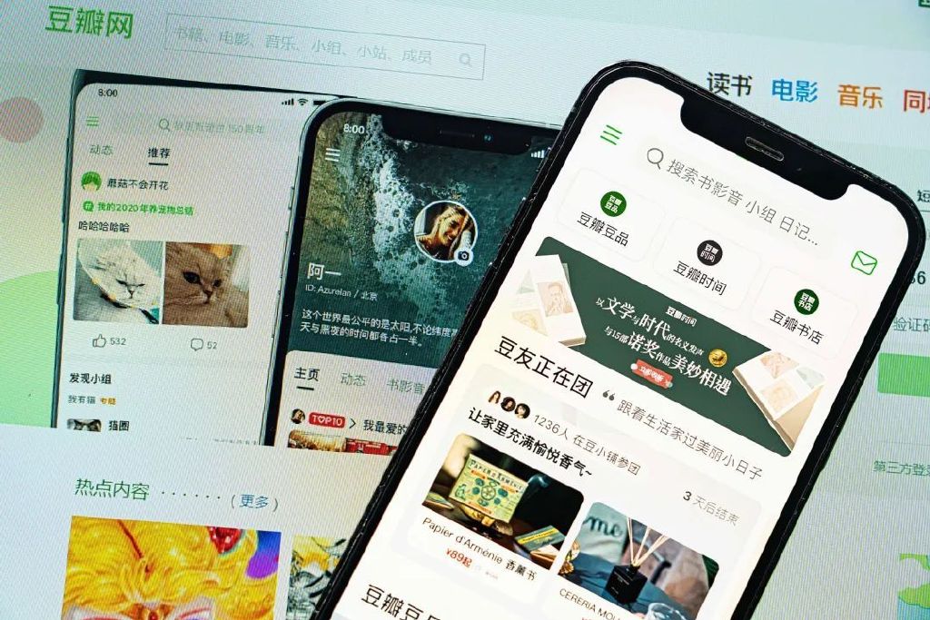 大学生创业团队名称（豆瓣的危情时刻）