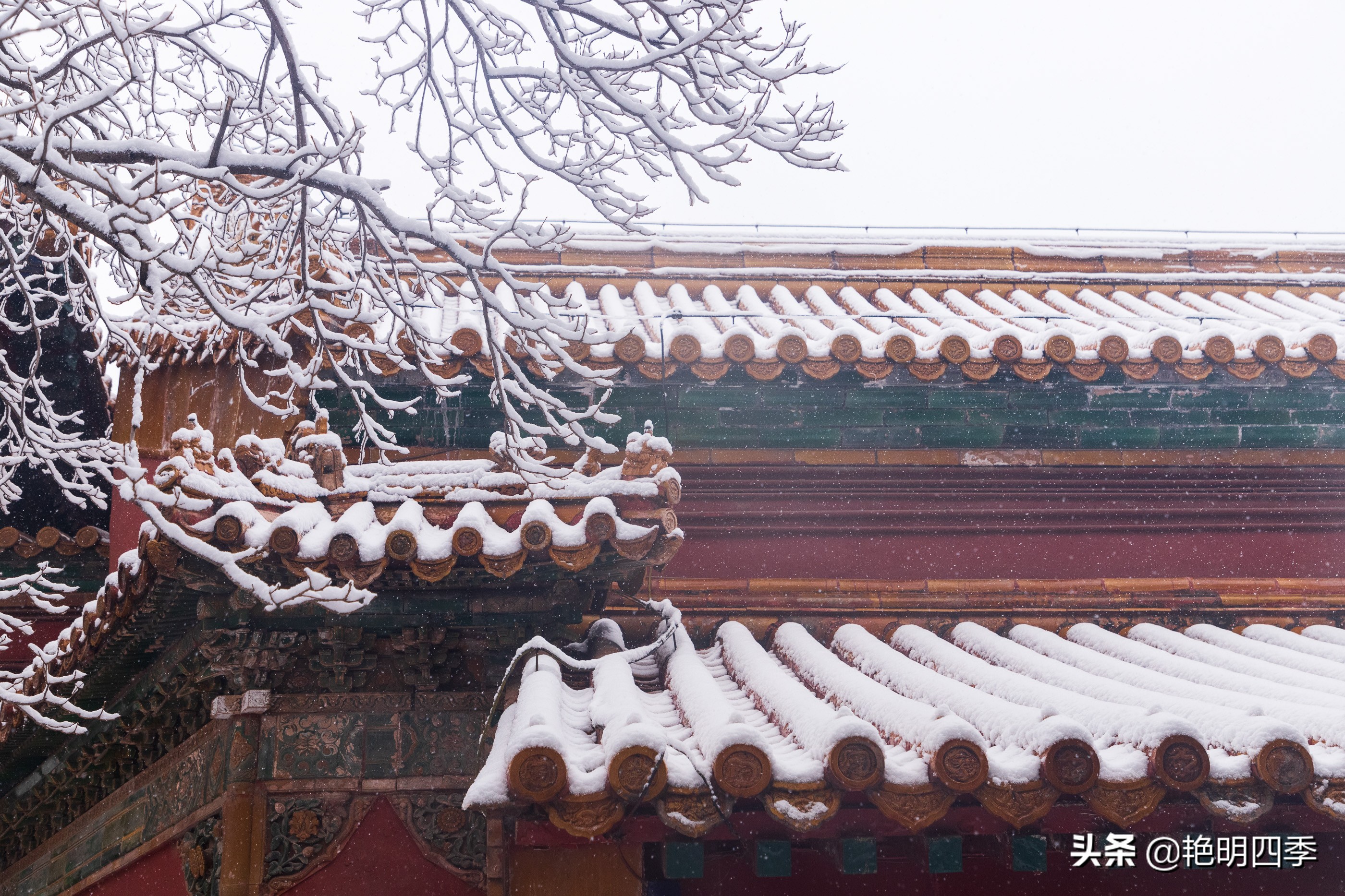 春天里，在紫禁城看一场大雪，与冬天做一个郑重的告别