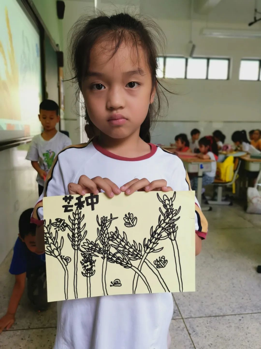 节气深耕.芒种节气｜成都高新区朝阳小学开展丰富多彩的节气活动