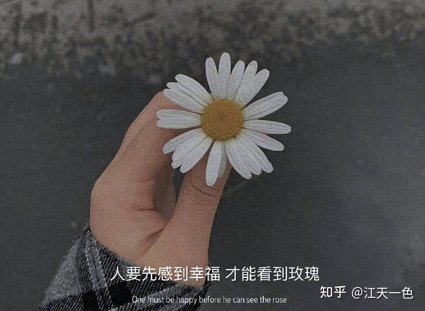 什么句子可以表达我想你了？