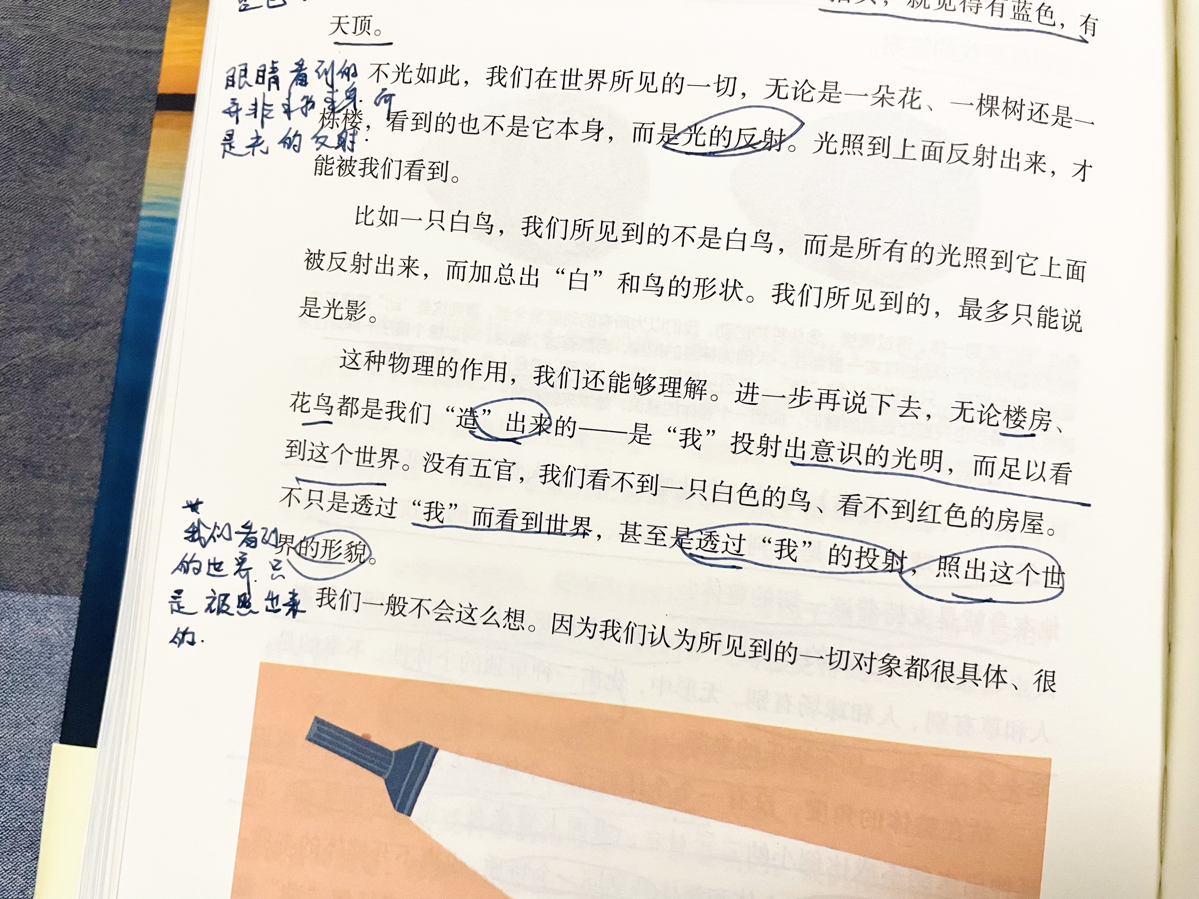 存在的本质，是喜悦：《不合理的快乐》