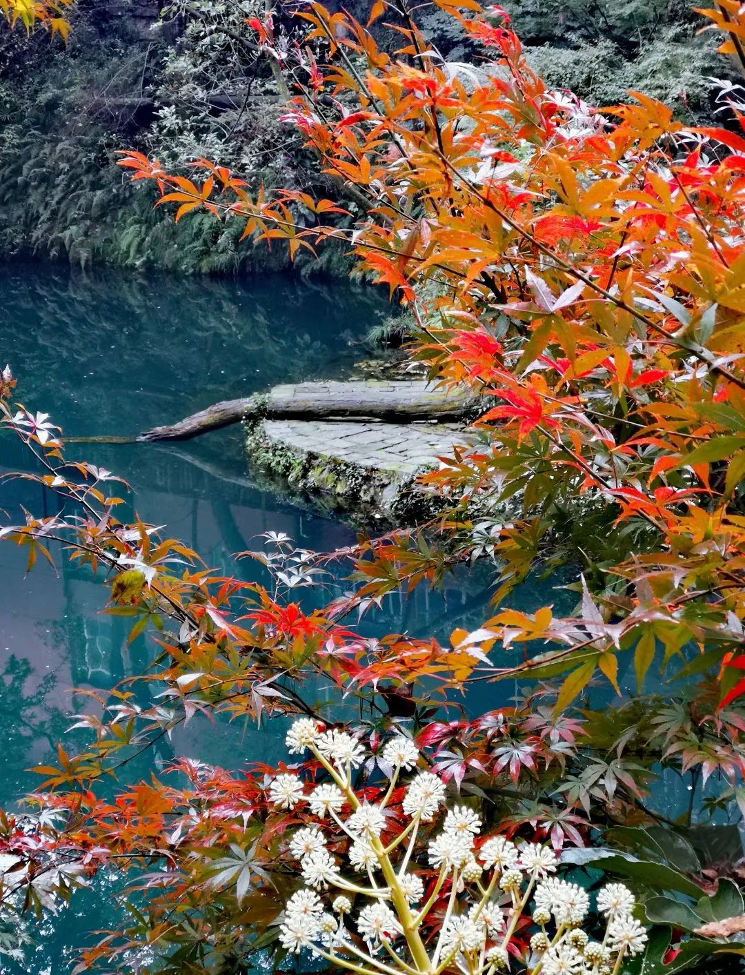 浙大快乐老师“许萌萌”！