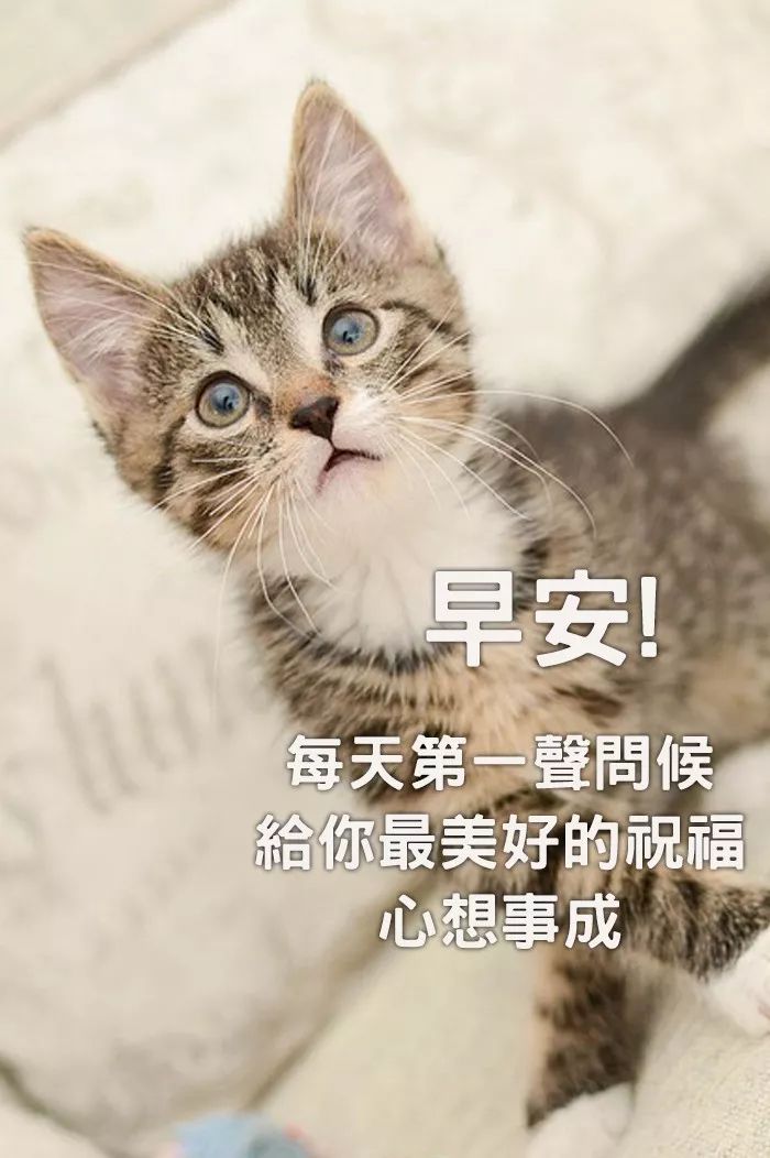 周五早上好朋友 微信早晨好问候祝福 幸福安康，一路精彩，一路芬芳图片